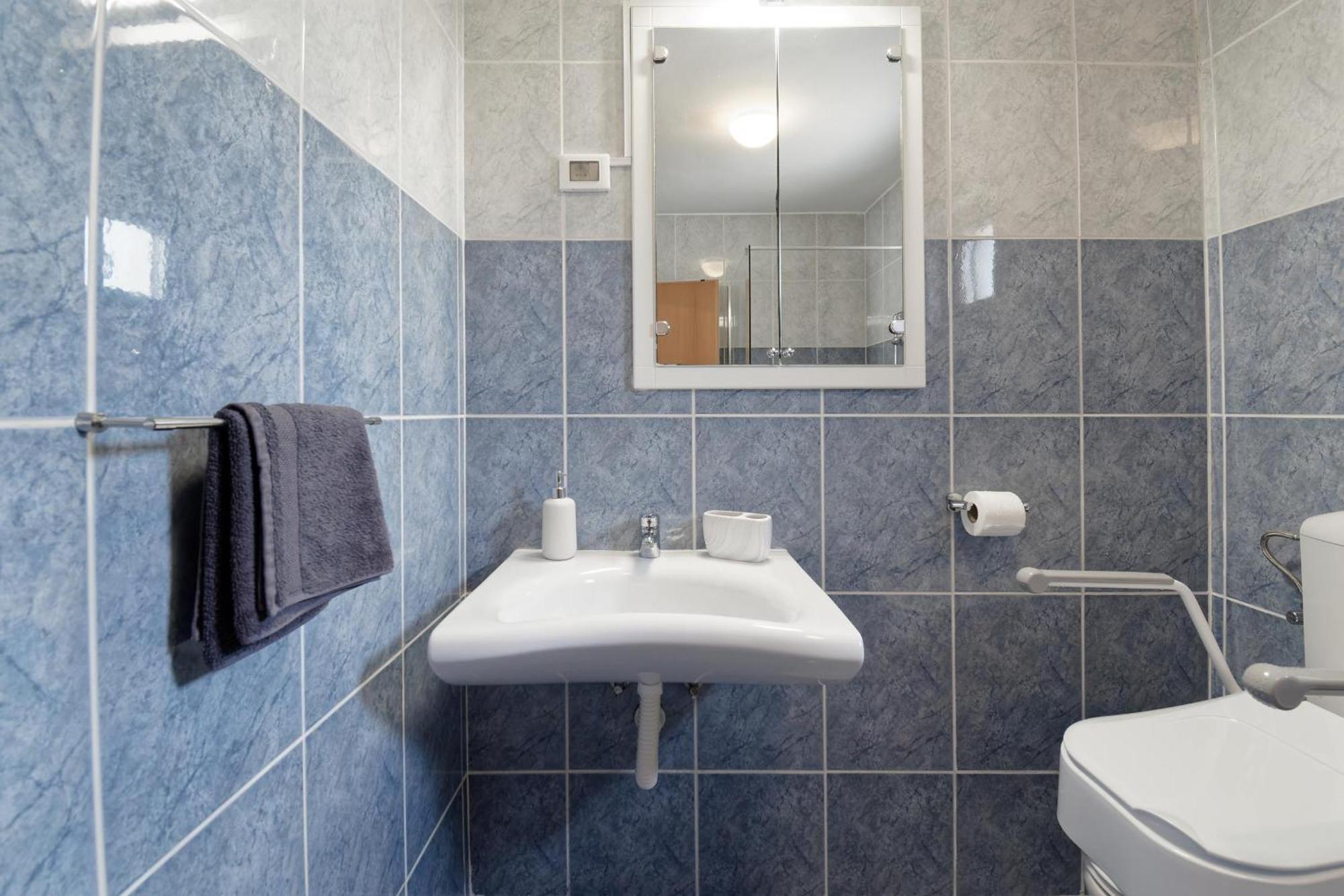 Apartment Larissa By Rent Istria Вишнян Екстер'єр фото